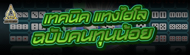 เทคนิค แทงไฮโล ฉบับคนทุนน้อย