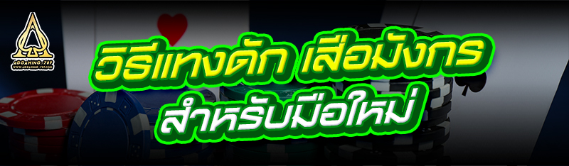 วิธีแทงดัก เสือมังกร สำหรับมือใหม่